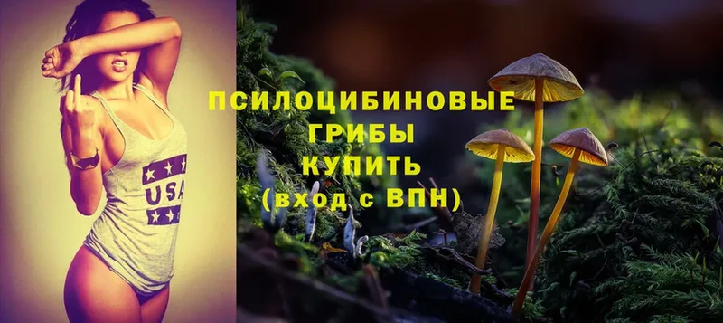 Галлюциногенные грибы MAGIC MUSHROOMS  купить  цена  дарк нет официальный сайт  Кувшиново 